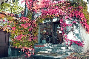 亚特兰大主帅重申目标，争取欧冠资格