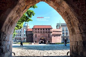 篮球女队在全国比赛中取得亚军——青春与荣耀同在