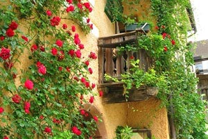 维戈塞尔塔主帅：要牢记防守基本，攻击靠前